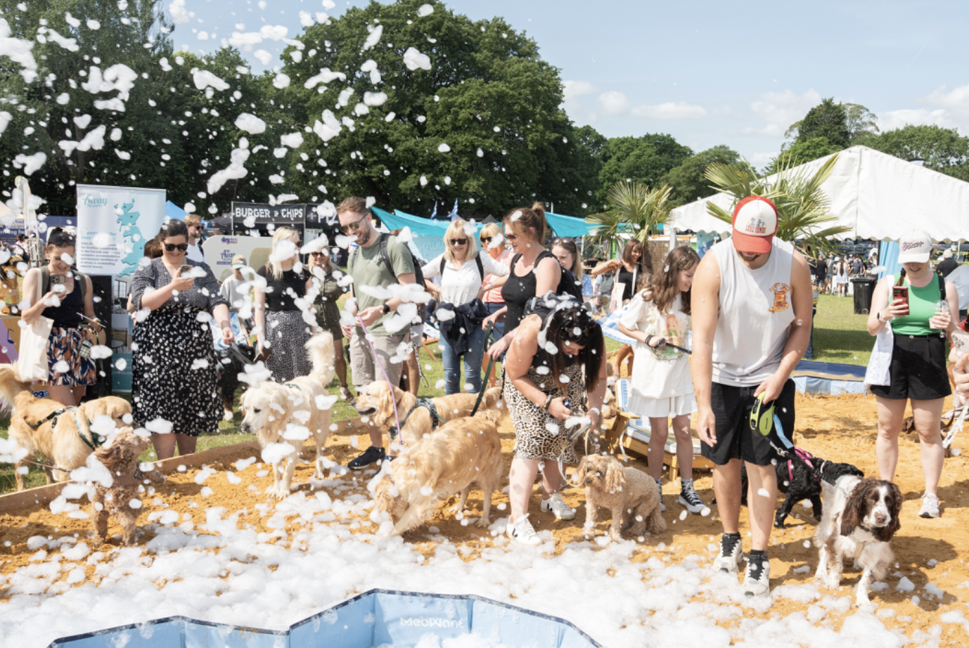 🐶🌴 Dogstival 2026 – The Ultimate Dog Festival is Back!